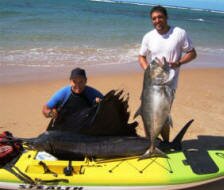 Pete Theunissen - Sailfish - Stealth species comp Paindane Mozambique May 2007
