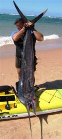 Pete Theunissen - Sailfish - Stealth species comp Paindane Mozambique May 2007