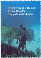 Scuba Diving Aliwal Shoal Umkomaas South Africa